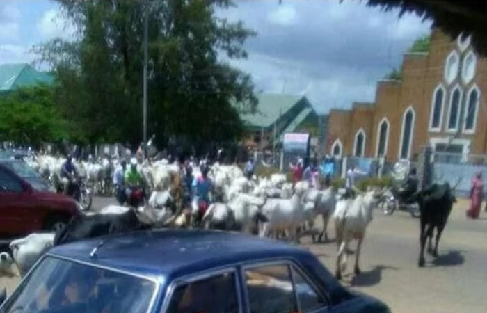 fulani herdsmen