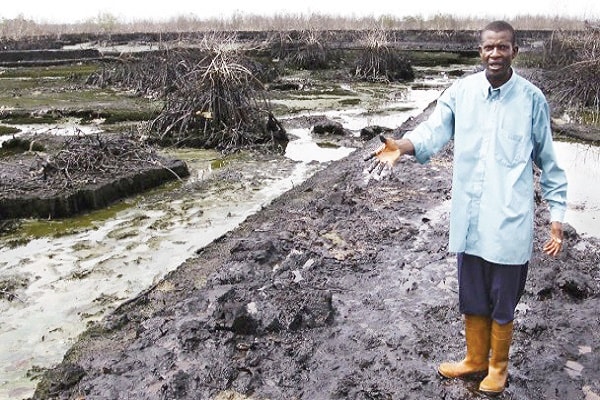 ogoni cleanup