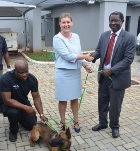 Germany gifts Nigeria sniffer dogs