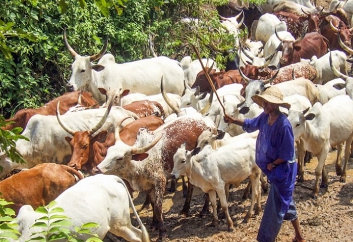 fulani herdsmen