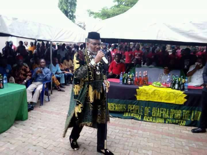 nnamdi kanu