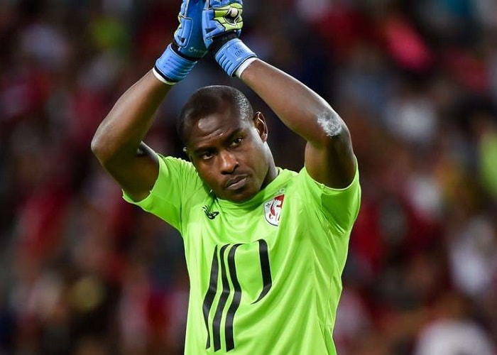 vincent enyeama