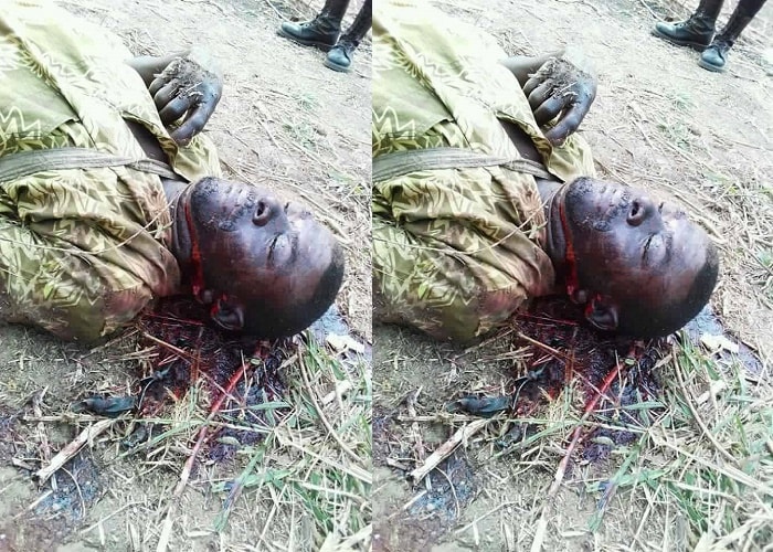 Ogun farmer killed by herdsmen