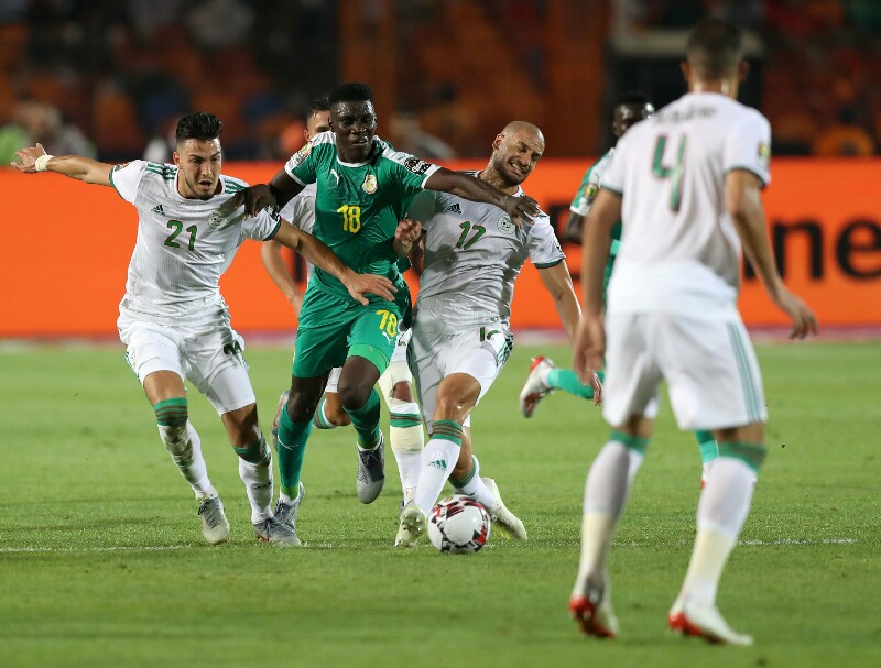 Algeria vs Senegal