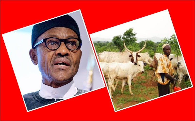 Buhari - Herdsmen