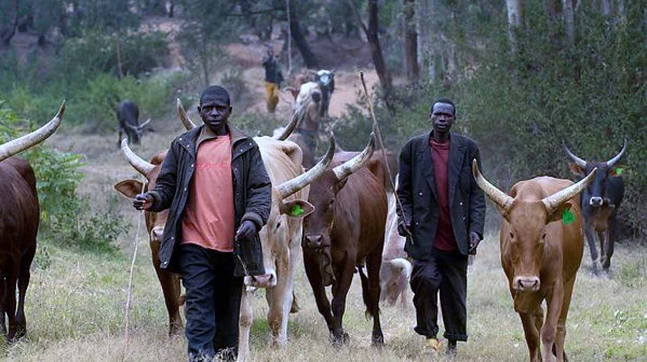 Fulani Herdsmen